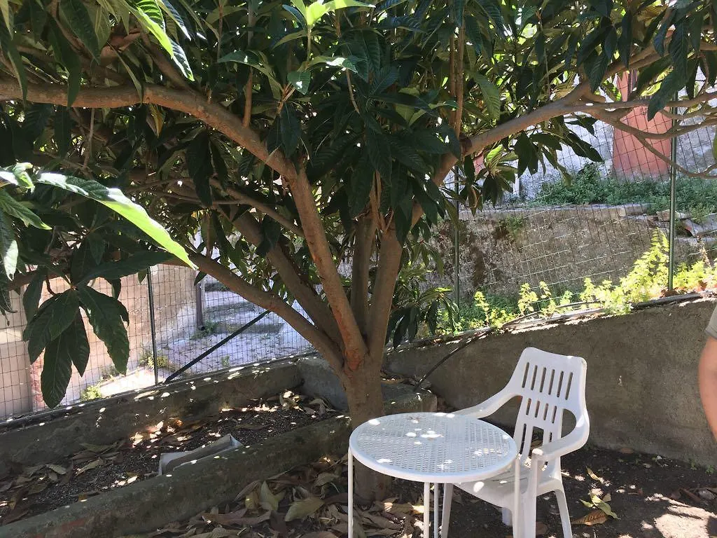 Lemon Tree Villa Tripi