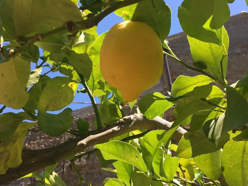 Holiday home Lemon Tree Villa Tripi